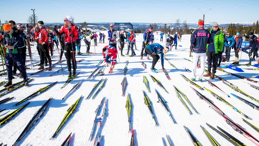 Фото - Норвегия озвучила позицию по допуску российских лыжников
