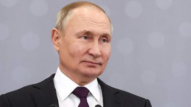 Фото - Путин поздравил Федерацию дзюдо России с 50-летием